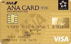 ANA VISA