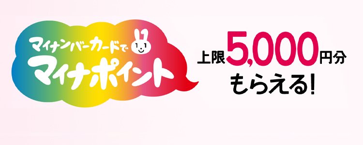 マイナポイント事業